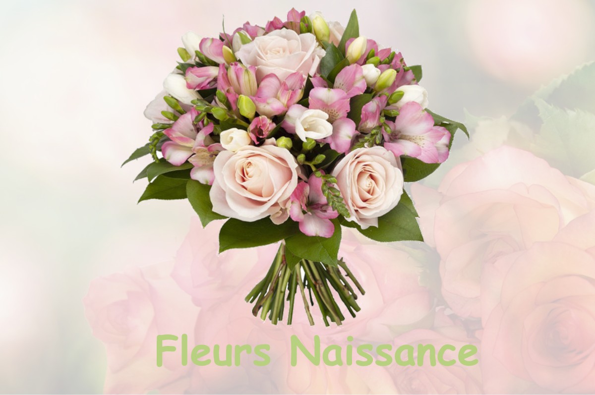 fleurs naissance SAINT-ONDRAS