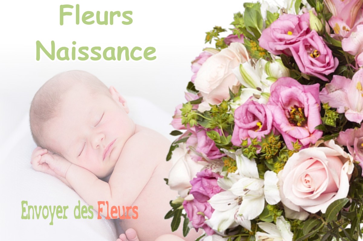 lIVRAISON FLEURS NAISSANCE à SAINT-ONDRAS